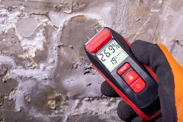Trusted Mahnomen, MN Mold Remediation Experts