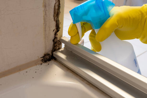 Best HVAC Mold Remediation in Mahnomen, MN